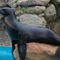 Marineland Antibes - 003