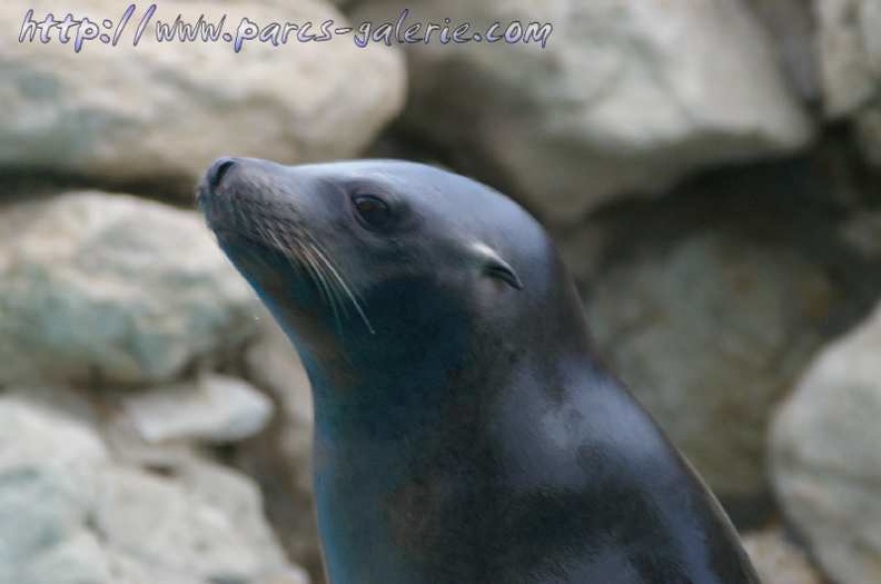 Marineland Antibes - 004