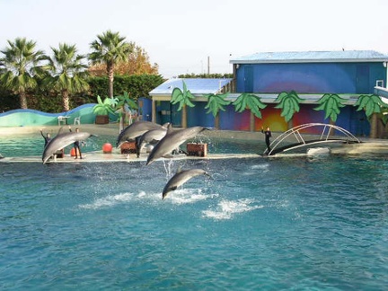 Marineland Antibes - 001