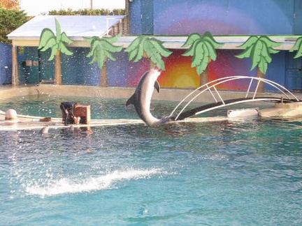 Marineland Antibes - 003