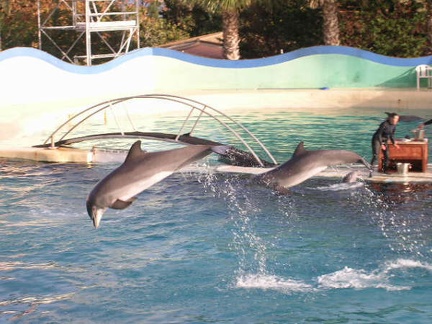 Marineland Antibes - 004