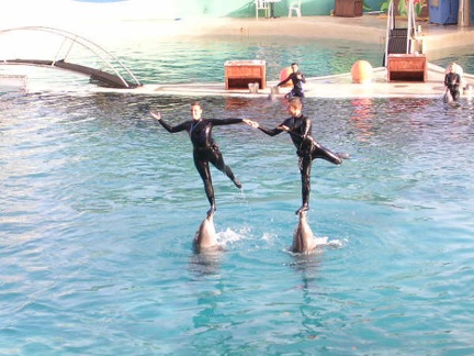 Marineland Antibes - 006