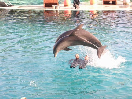 Marineland Antibes - 008