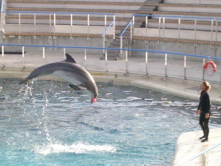 Marineland Antibes - 011