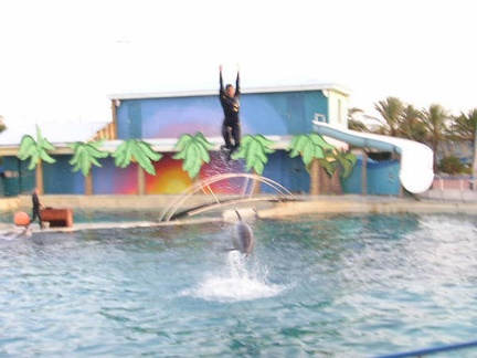 Marineland Antibes - 001