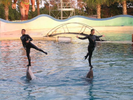 Marineland Antibes - 002