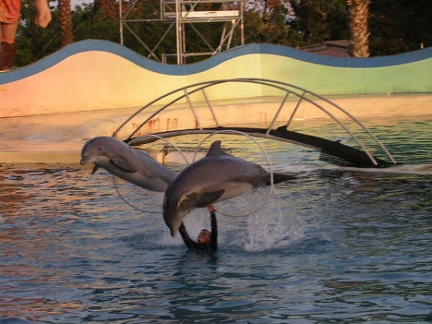 Marineland Antibes - 007