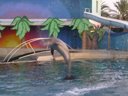 Marineland Antibes - 011