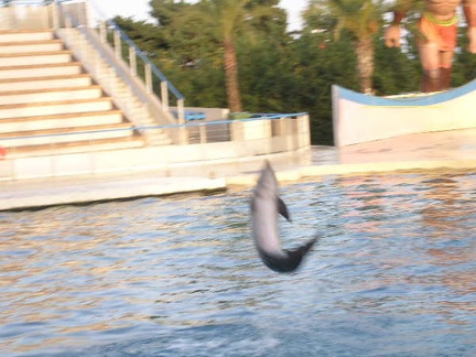 Marineland Antibes - 012