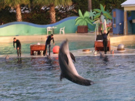 Marineland Antibes - 013