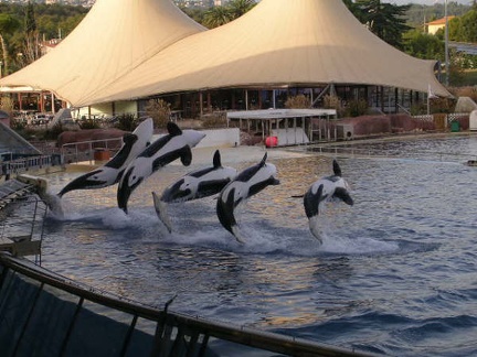 Marineland Antibes - 001