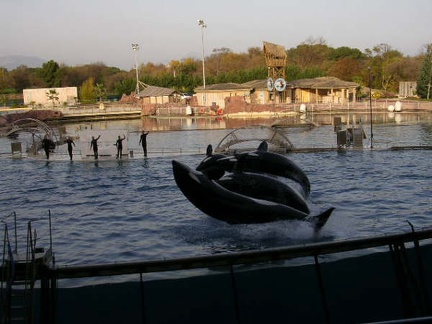 Marineland Antibes - 002