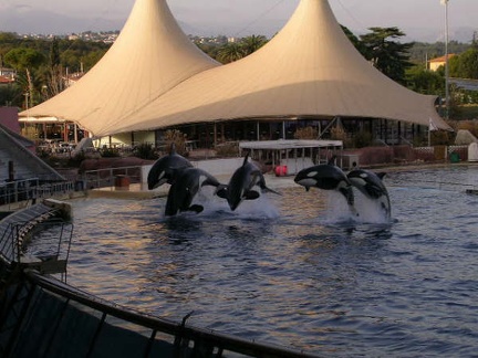 Marineland Antibes - 003