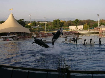 Marineland Antibes - 004