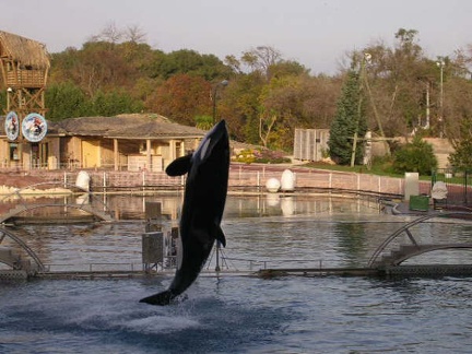 Marineland Antibes - 005