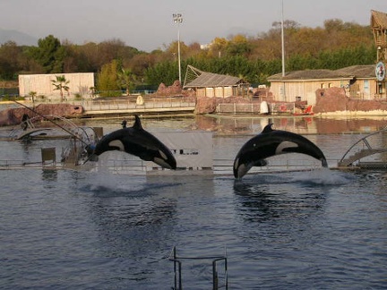 Marineland Antibes - 011