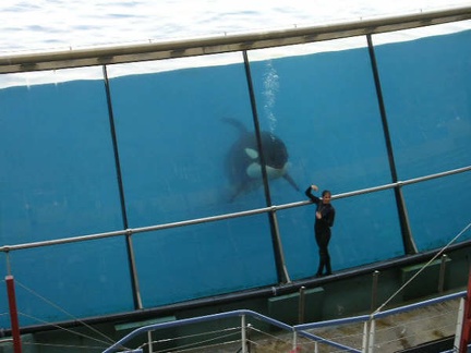 Marineland Antibes - 013