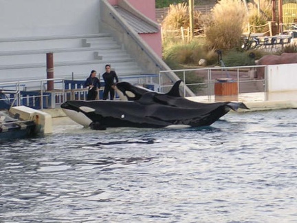 Marineland Antibes - 015