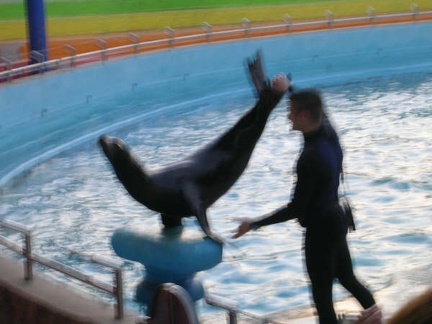 Marineland Antibes - 002