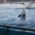 Marineland Antibes - 006