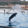 Marineland Antibes - 009