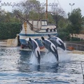 Marineland Antibes - 010