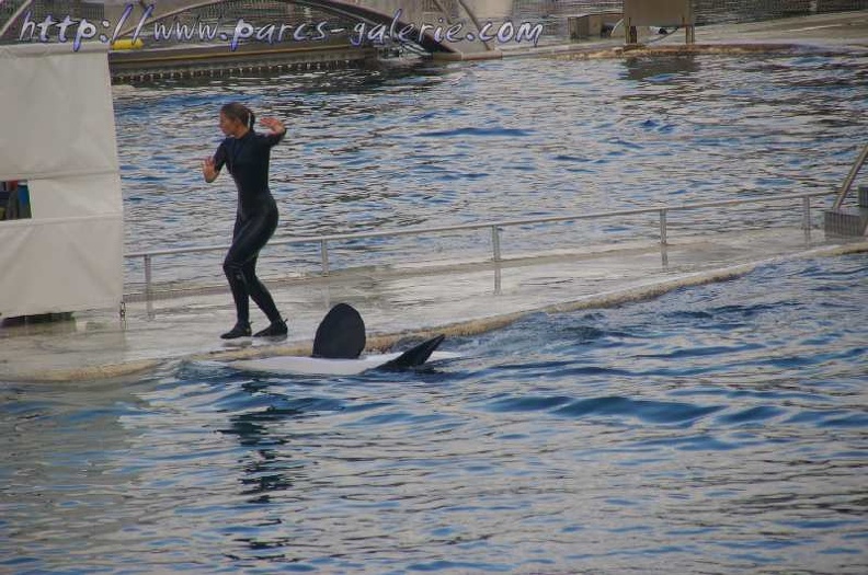 Marineland Antibes - 018