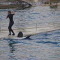 Marineland Antibes - 018