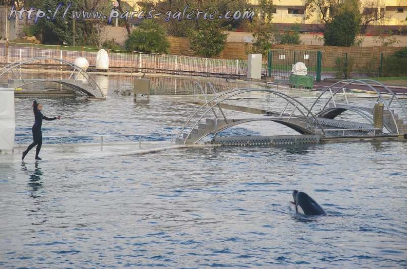 Marineland Antibes - 022