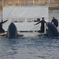 Marineland Antibes - 023