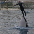 Marineland Antibes - 027