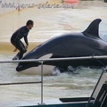 Marineland Antibes - 048