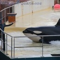 Marineland Antibes - 050