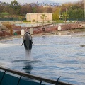 Marineland Antibes - 053