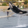 Marineland Antibes - 054