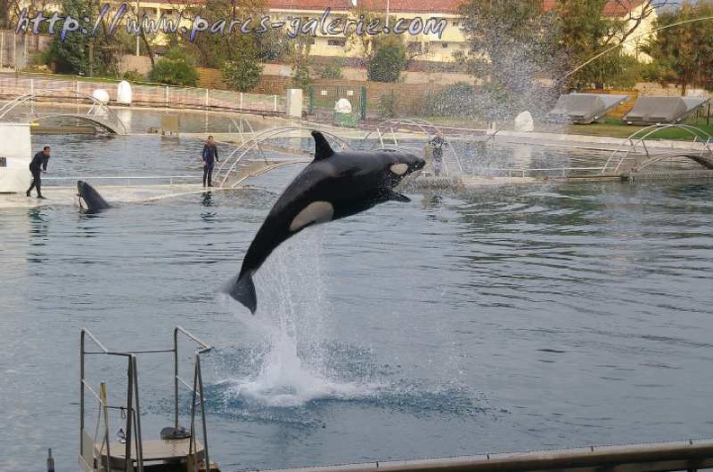 Marineland Antibes - 055 - Marineland_Antibes_-_055.jpg Marineland_Antibes_-_055.jpg