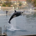Marineland Antibes - 055