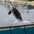 Marineland Antibes - 058