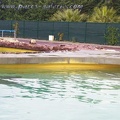 Marineland_Antibes_-_004.jpg