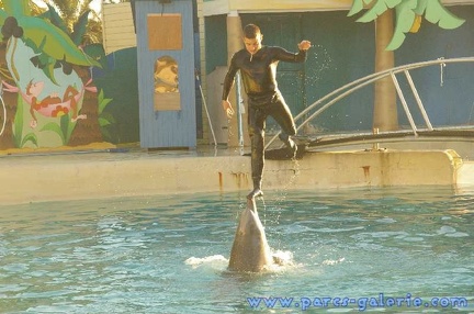 Marineland Antibes - 002