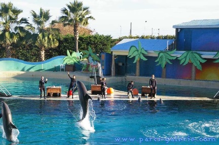 Marineland Antibes - 001