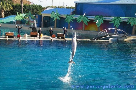 Marineland Antibes - 003