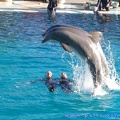 Marineland Antibes - 018