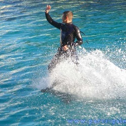 Marineland - Dauphins - Spectacle 14h15