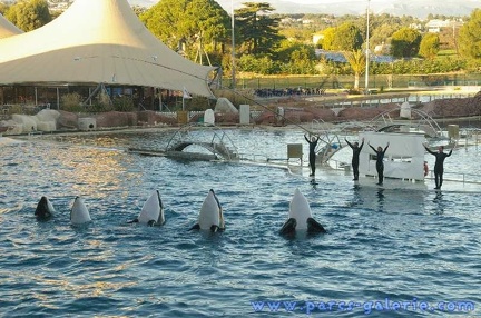 Marineland Antibes - 001