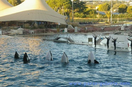 Marineland Antibes - 002