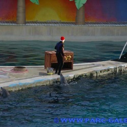 Marineland - Dauphins - Spectacle 16h00