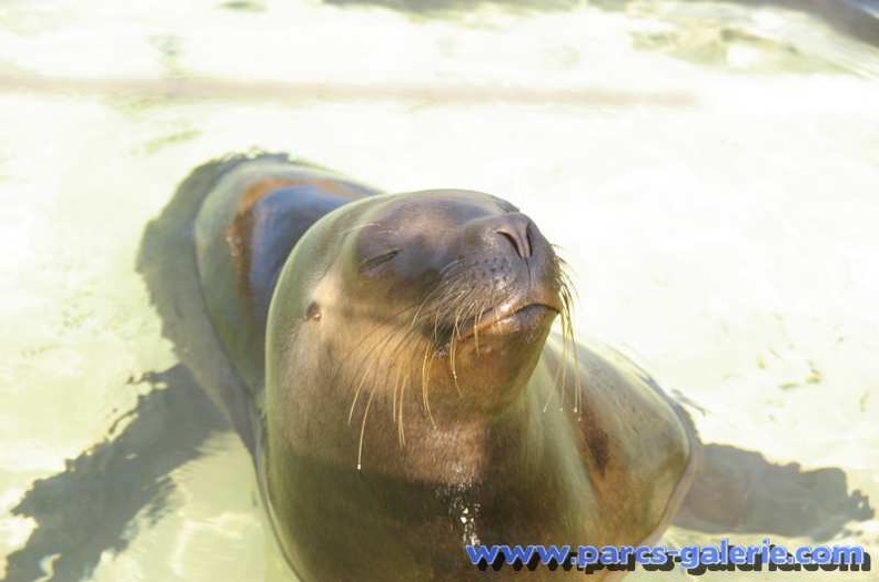 Marineland Antibes - 004 - Marineland_Antibes_-_004.jpg Marineland_Antibes_-_004.jpg