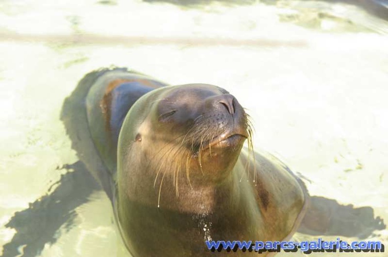 Marineland_Antibes_-_004.jpg