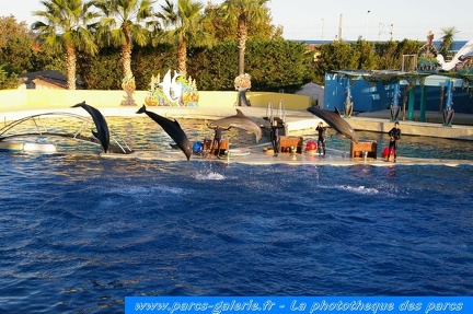 Marineland Antibes - 001